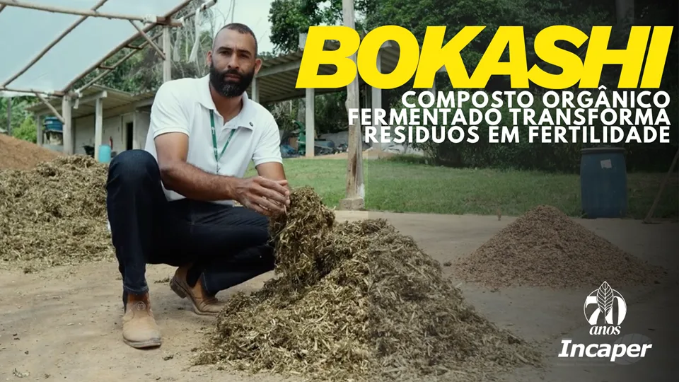 Adubo Bokashi Pode Ser Produzido em Casa com Resíduos Orgânicos