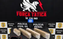 Operação integrada apreende mais de 3 kg de maconha na zona rural de Montanha