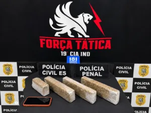 Operação integrada apreende mais de 3 kg de maconha na zona rural de Montanha