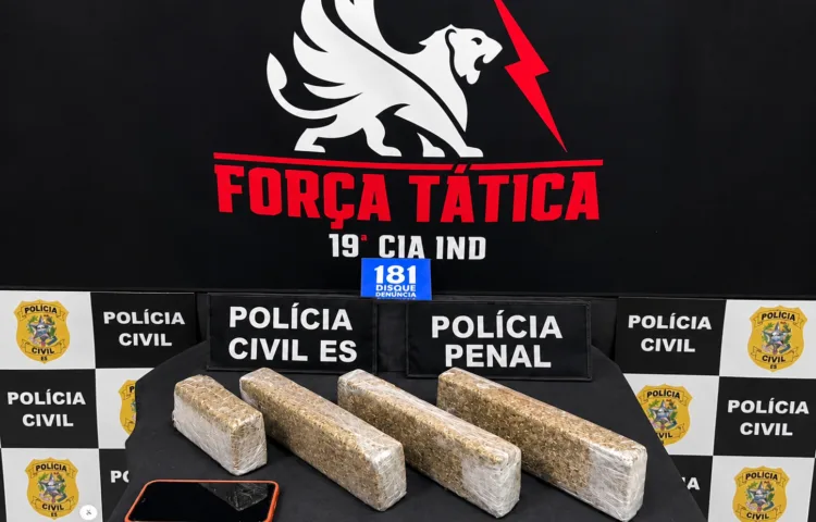 Operação integrada apreende mais de 3 kg de maconha na zona rural de Montanha